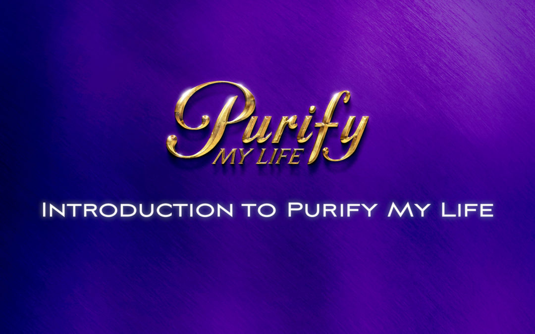 Introduction to Purify My Life