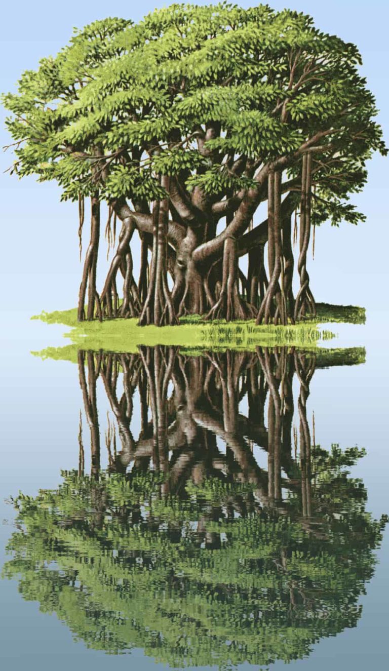 Ep. 5: The Upside-Down Banyan Tree of This Material World