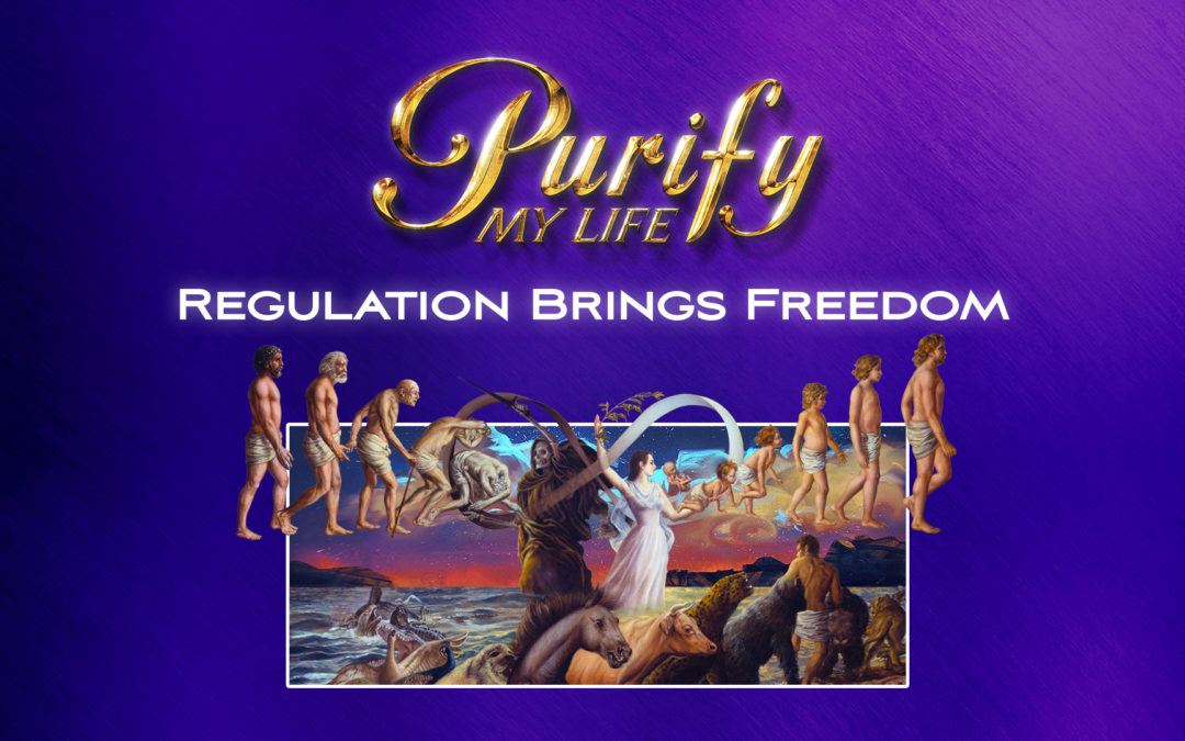 Regulation Brings Freedom